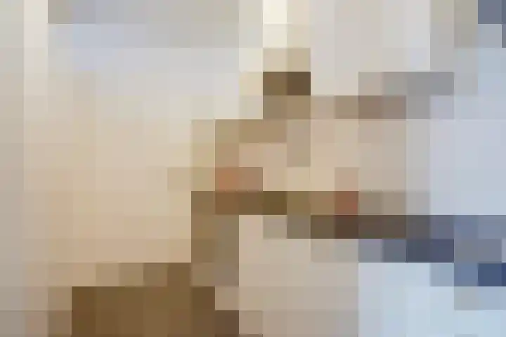 Forellendaal 1002 Den Haag thumbnail 10