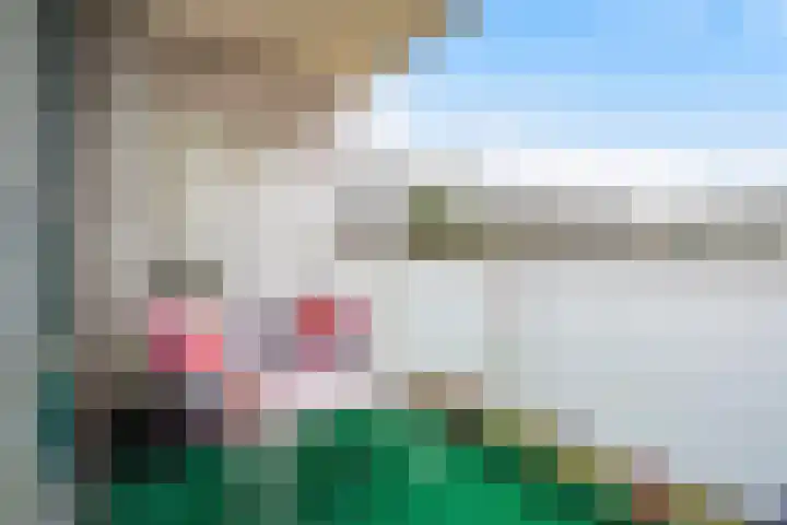 Forellendaal 1002 Den Haag thumbnail 18