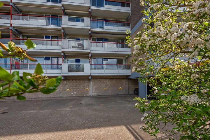 Forellendaal 171 in 's-Gravenhage foto