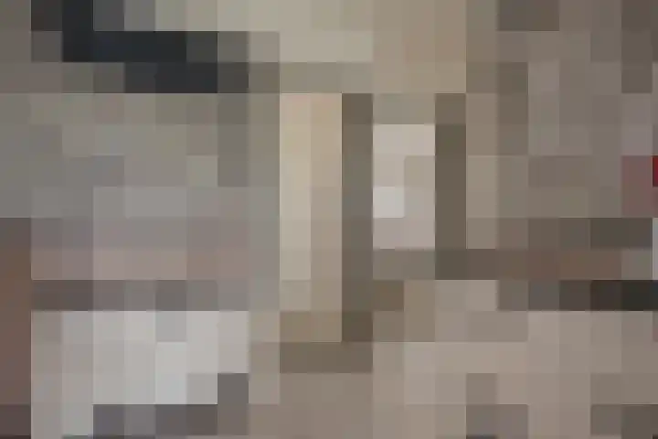 Forellendaal 171 Den Haag thumbnail 13