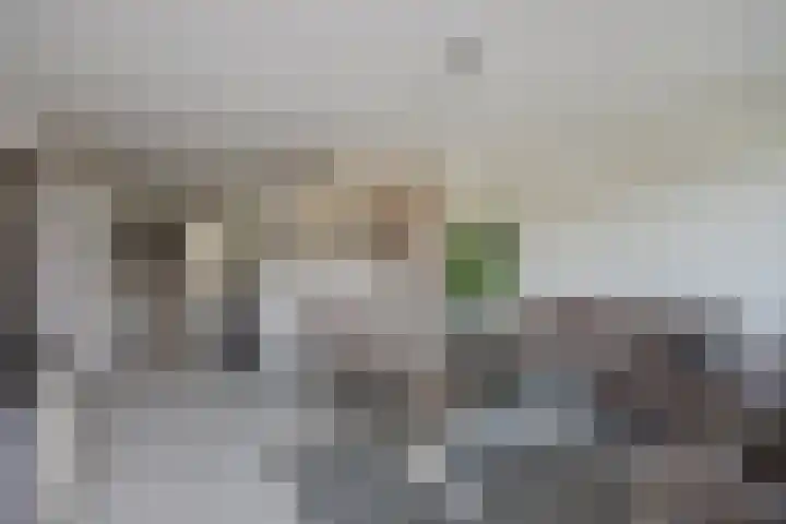 Forellendaal 171 Den Haag thumbnail 6