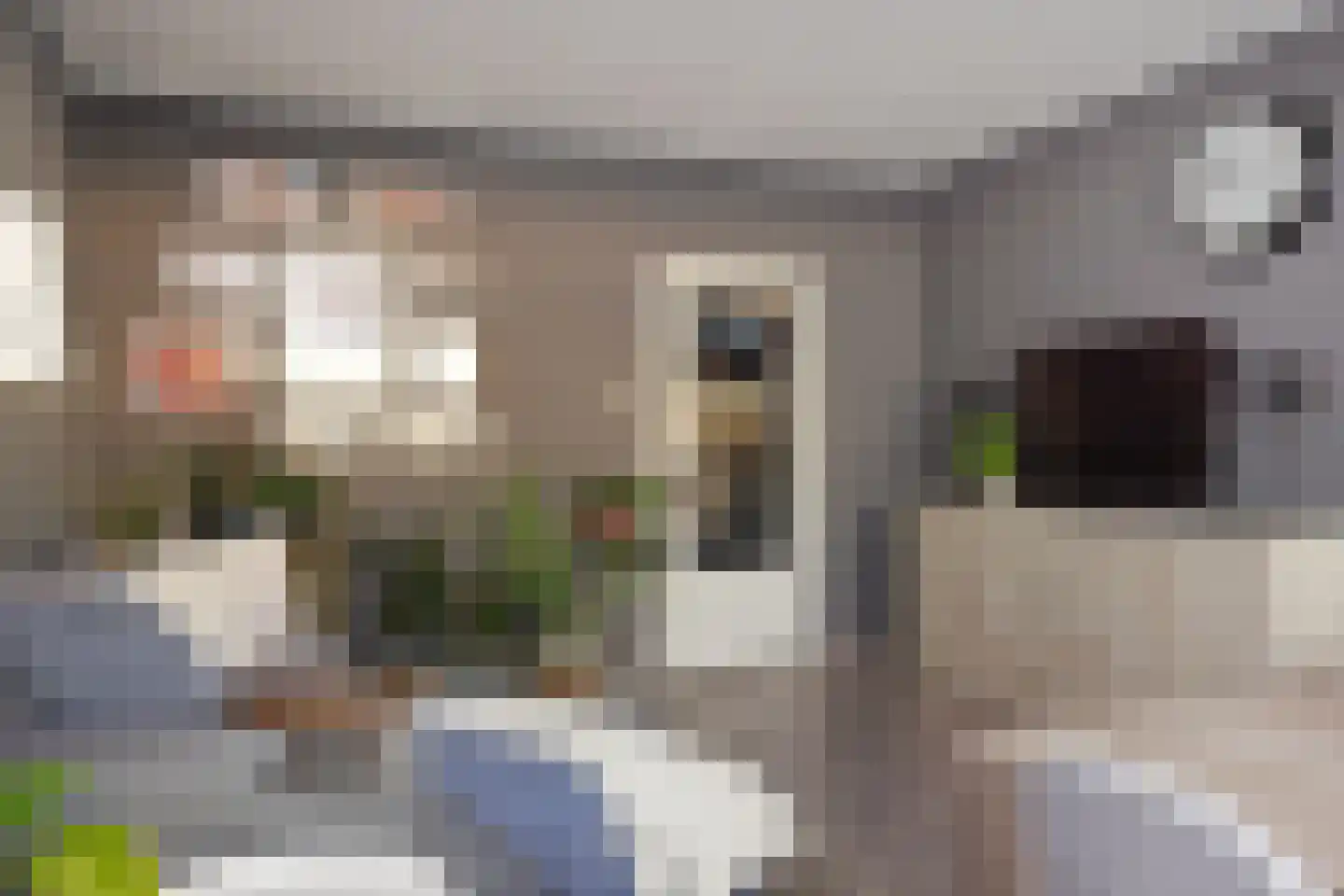 Forellendaal 224 Den Haag thumbnail 11