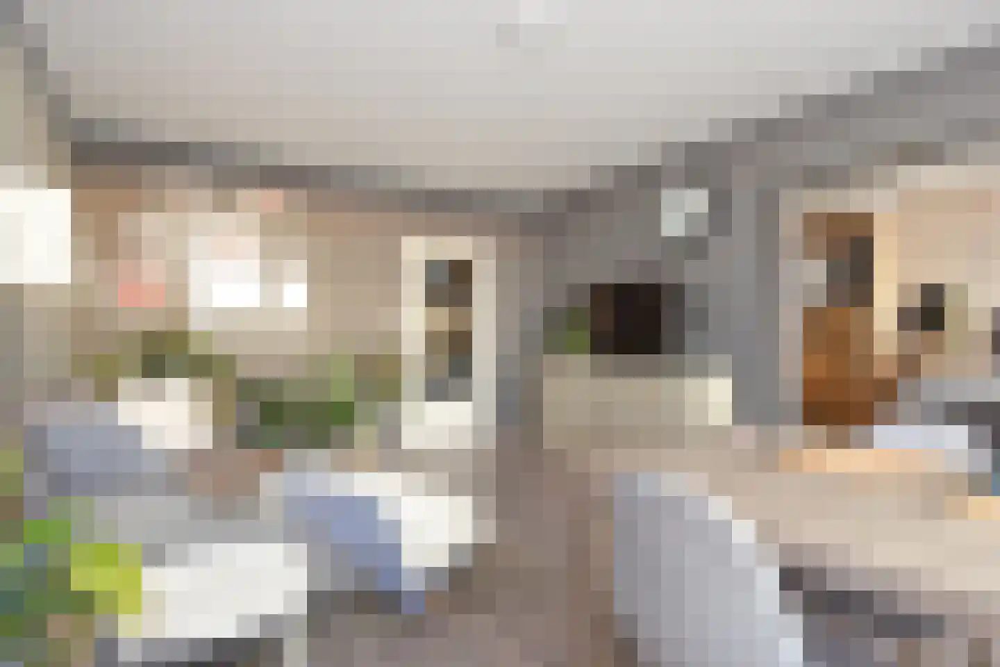 Forellendaal 224 Den Haag thumbnail 13