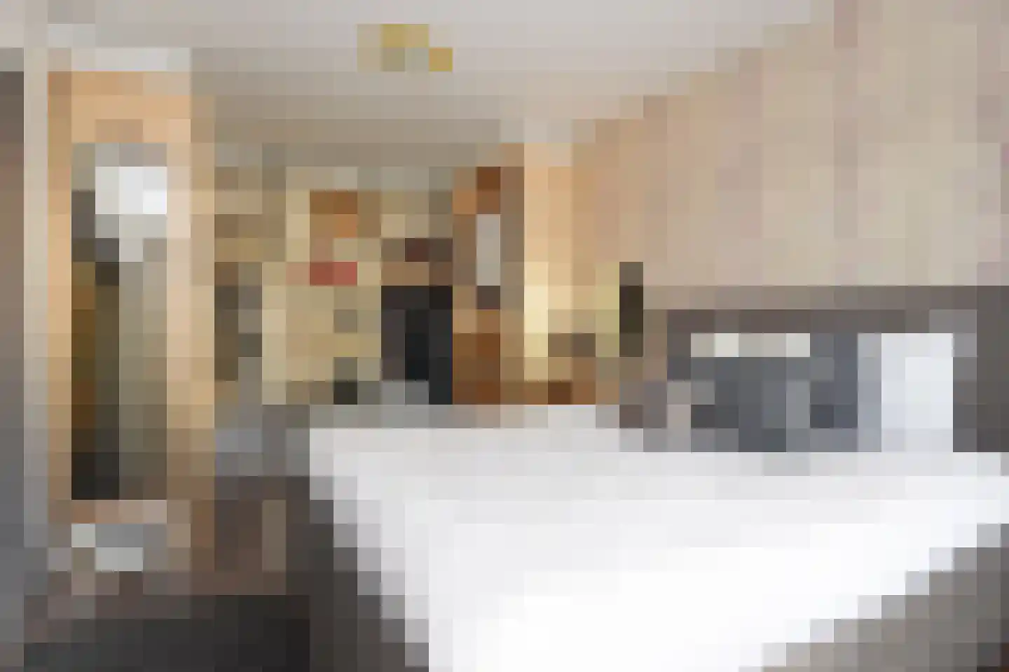 Forellendaal 224 Den Haag thumbnail 26