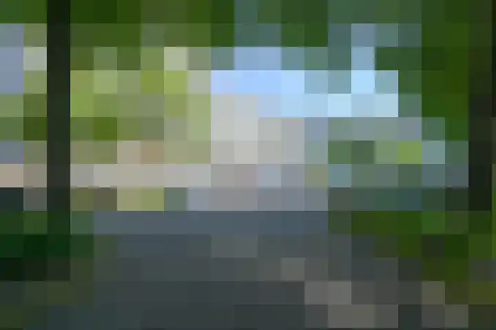 Forellendaal 242 Den Haag thumbnail 6