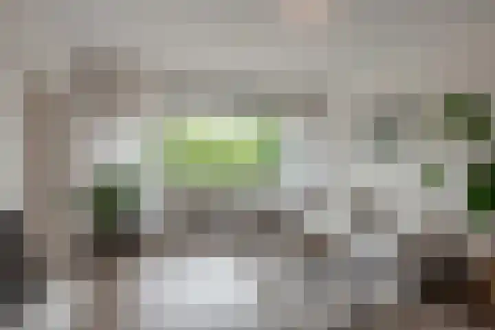 Forellendaal 26 Den Haag thumbnail 11