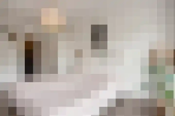 Forellendaal 26 Den Haag thumbnail 15