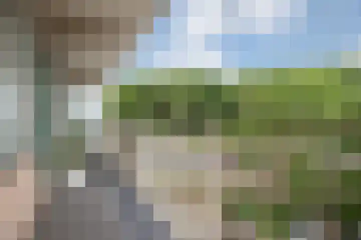 Forellendaal 26 Den Haag thumbnail 23