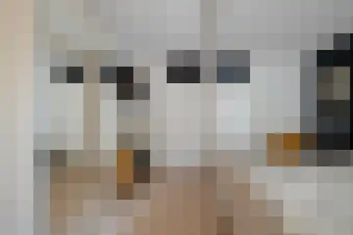 Forellendaal 325 Den Haag thumbnail 19