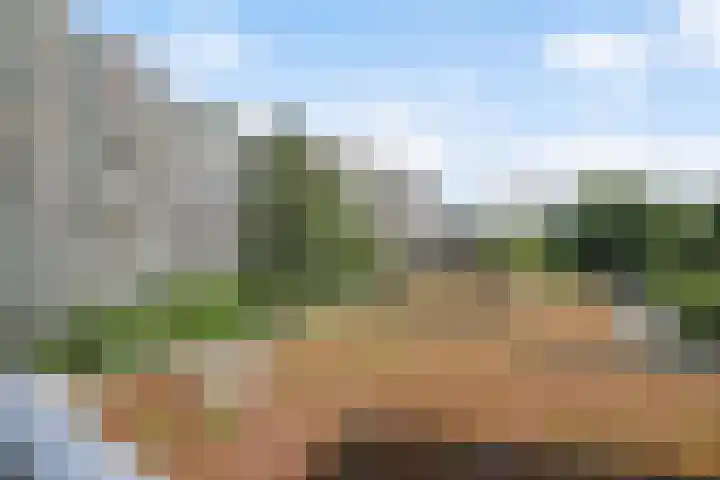 Forellendaal 480 Den Haag thumbnail 33