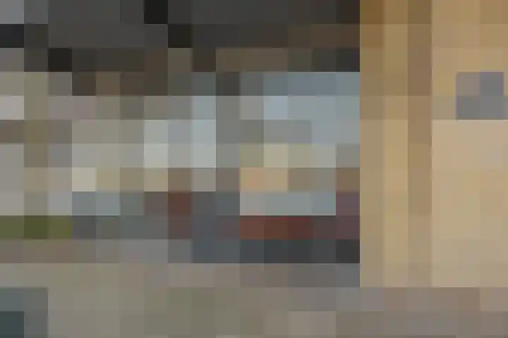 Forellendaal 491 Den Haag thumbnail 19