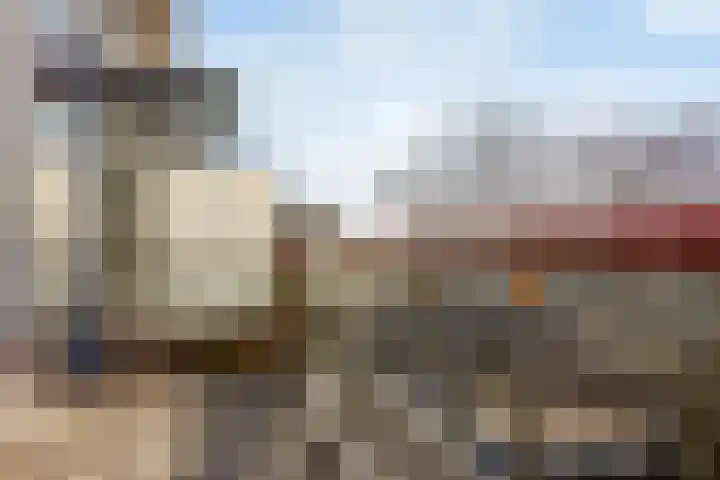 Forellendaal 491 Den Haag thumbnail 9
