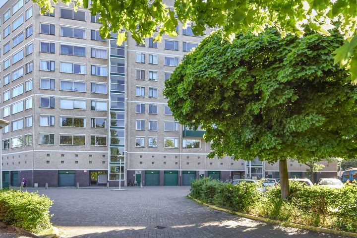 Forellendaal 784 in 's-Gravenhage foto