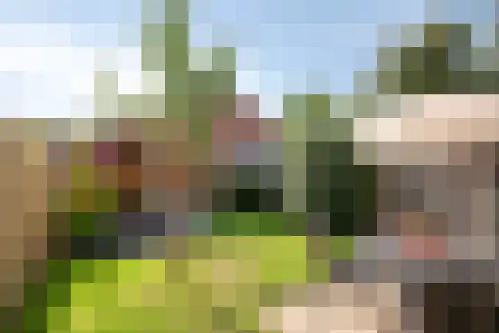 Forelstraat 3 Helmond thumbnail 27