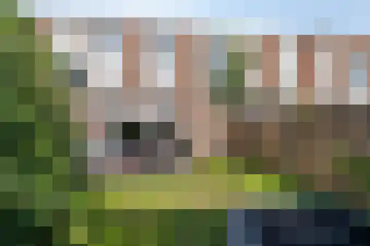 Forelstraat 3 Helmond thumbnail 30