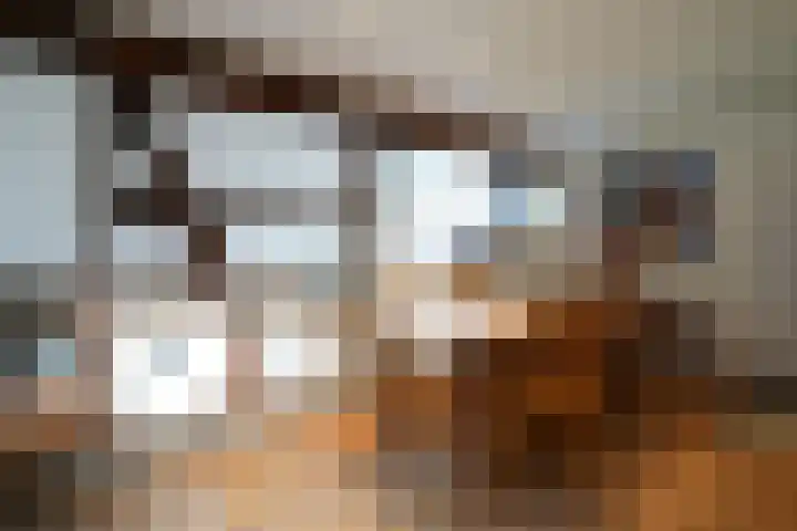 Forelstraat 3 Helmond thumbnail 5