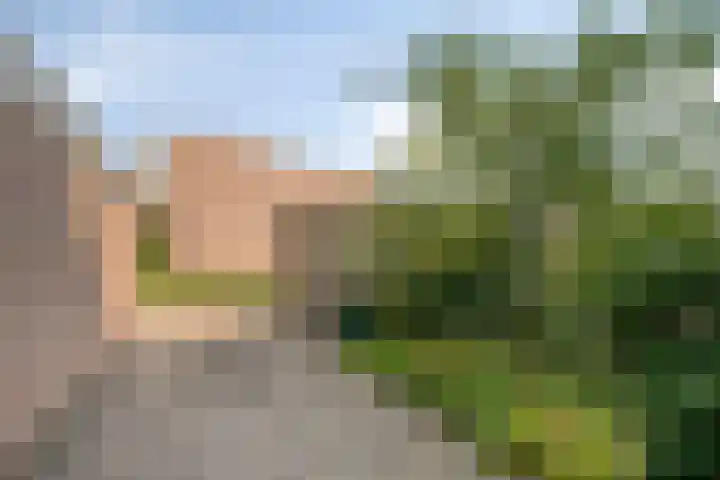 Forelstraat 3 Helmond thumbnail 7