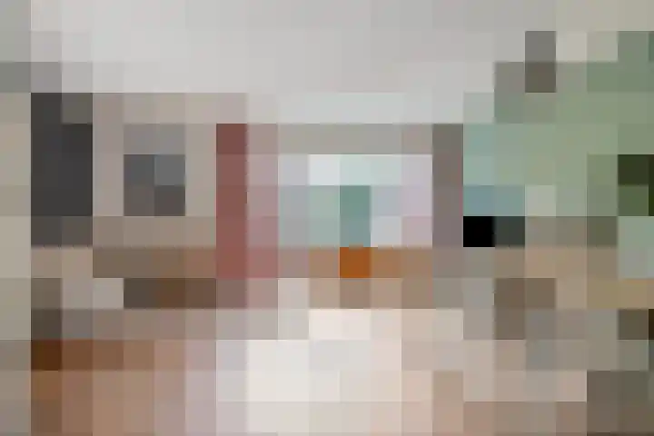 Forelstraat 3 Helmond thumbnail 9