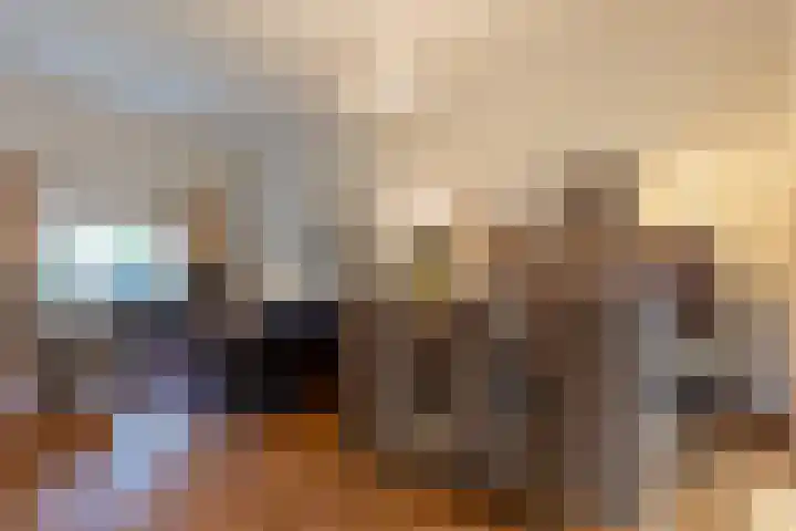 Forint 13 Dronten thumbnail 12