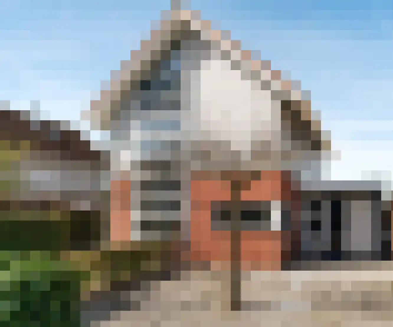 Forint 13 Dronten foto 2