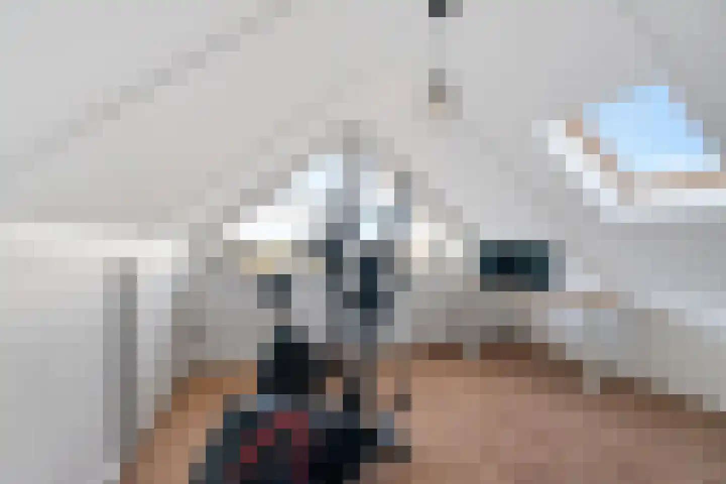 Forint 13 Dronten thumbnail 27