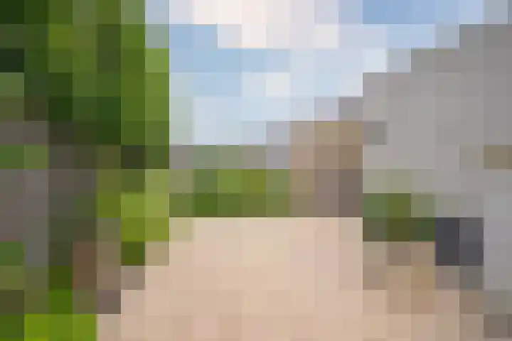 Forint 13 Dronten thumbnail 30