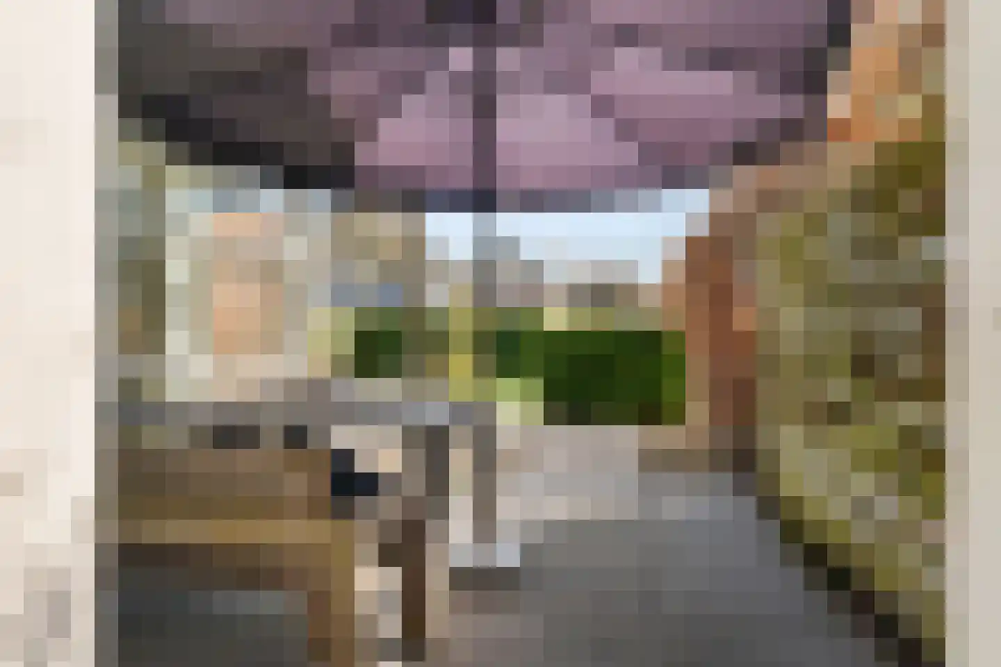 Forint 13 Dronten thumbnail 30