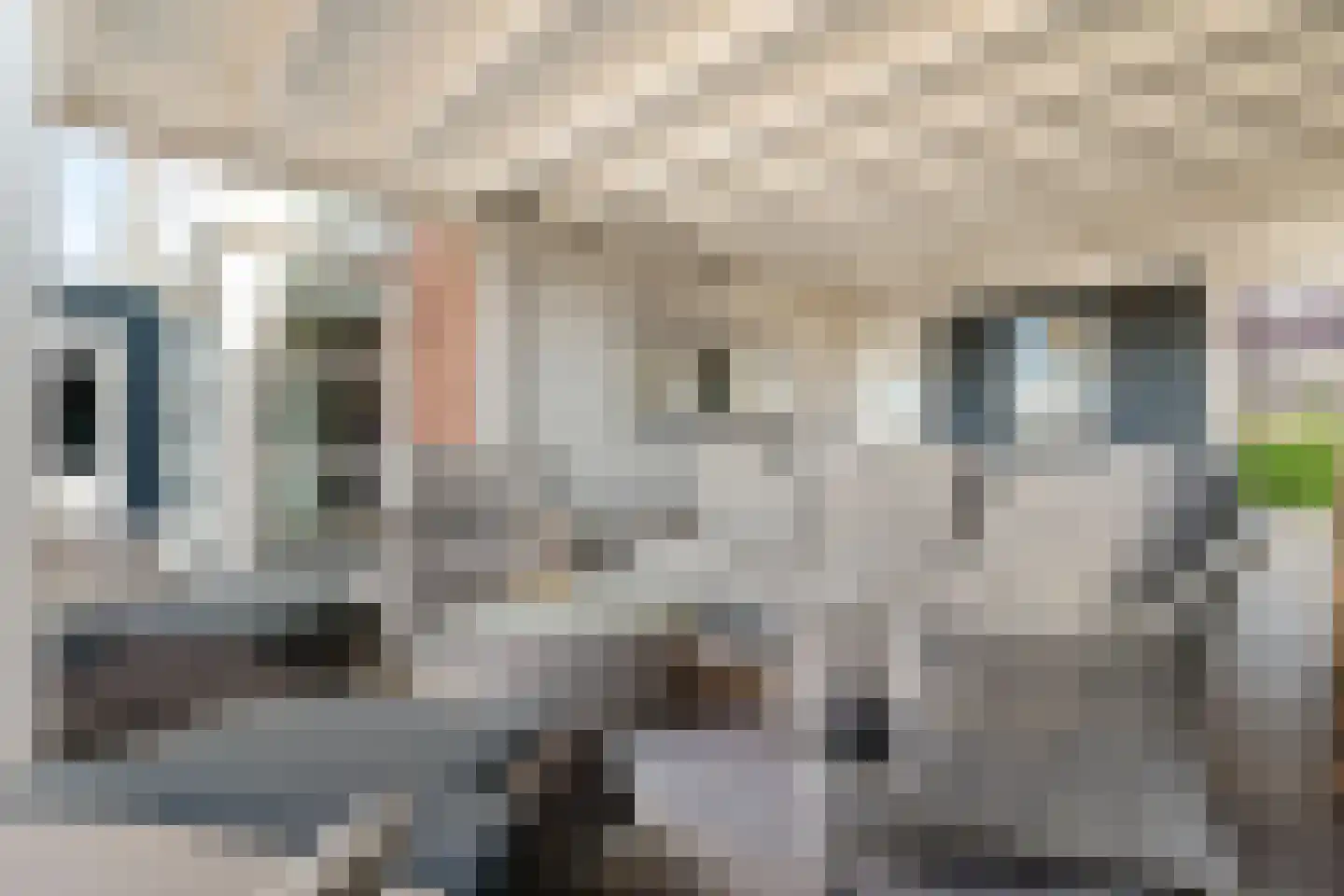 Forint 13 Dronten thumbnail 33