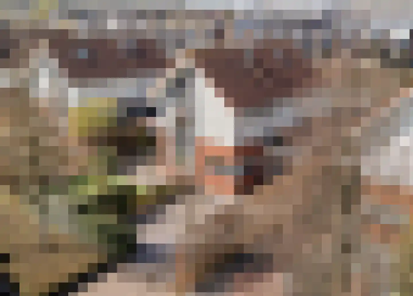 Forint 13 Dronten thumbnail 41