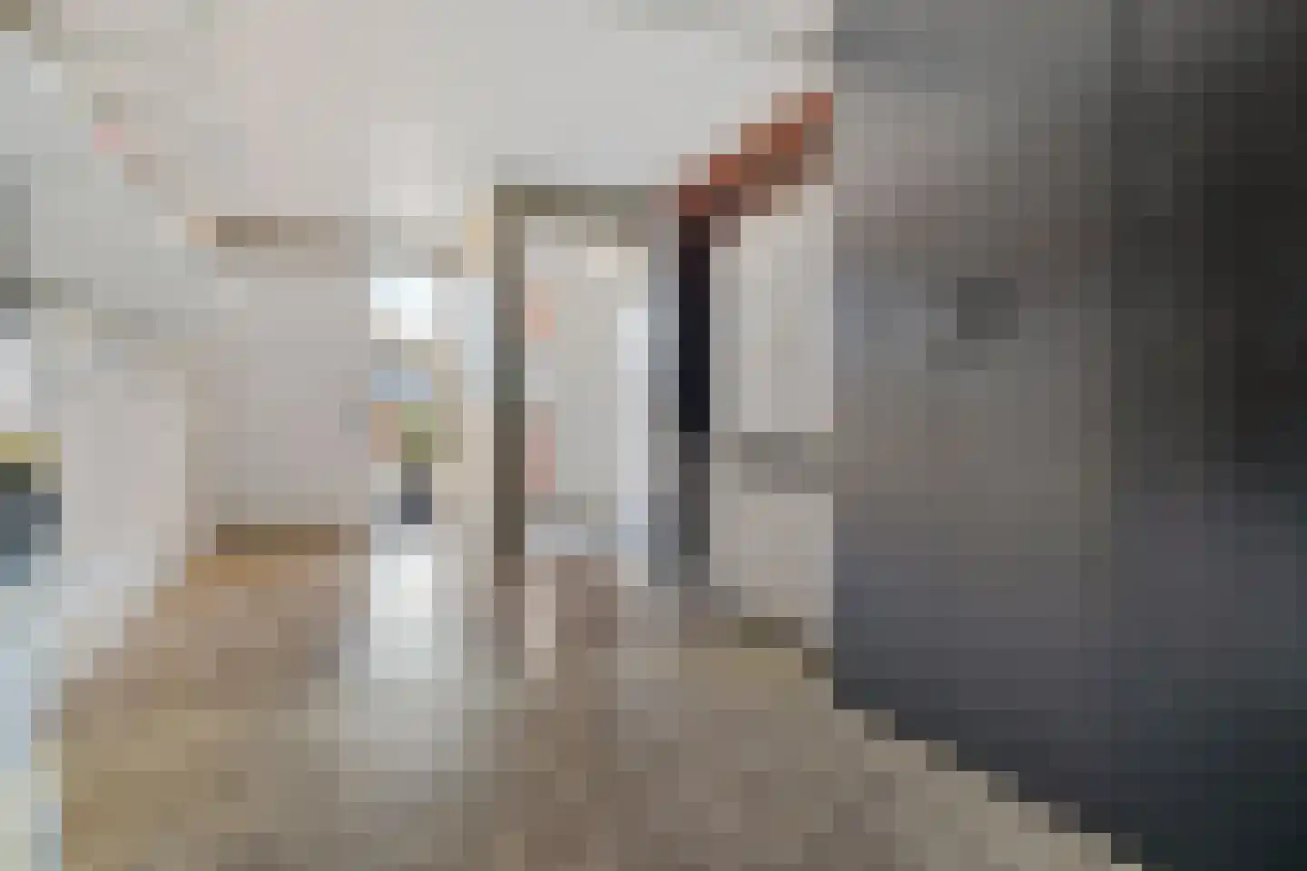 Forint 13 Dronten thumbnail 5