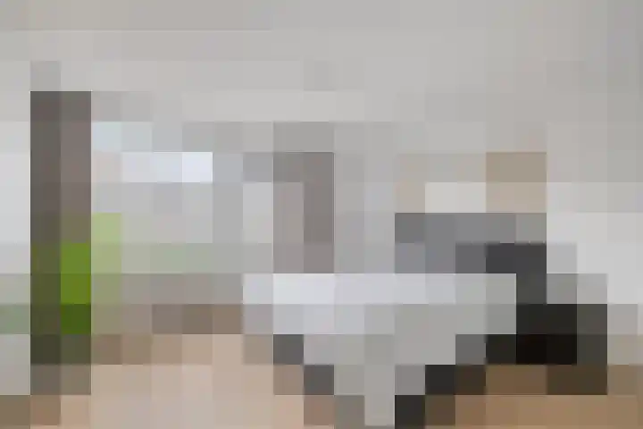 Forintdreef 1 Woerden thumbnail 16