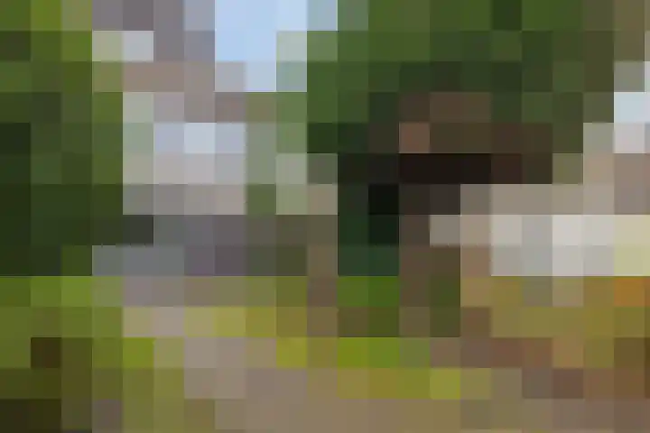 Forintdreef 1 Woerden thumbnail 29