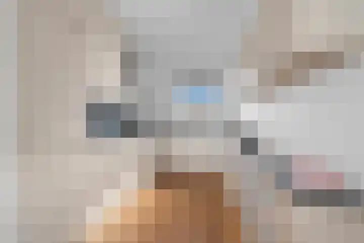 Forintdreef 33 Woerden thumbnail 21