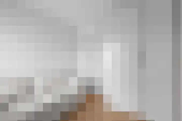 Forintdreef 33 Woerden thumbnail 28