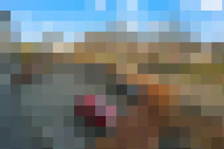 Forintdreef 33 Woerden thumbnail 32