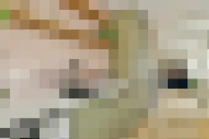Formosastraat 81 Amsterdam thumbnail 9