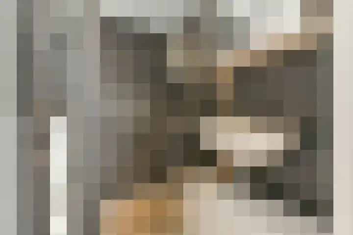 Formosastraat 95 Amsterdam thumbnail 17