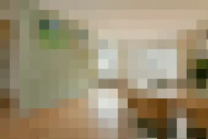 Formosastraat 95 Amsterdam thumbnail 7