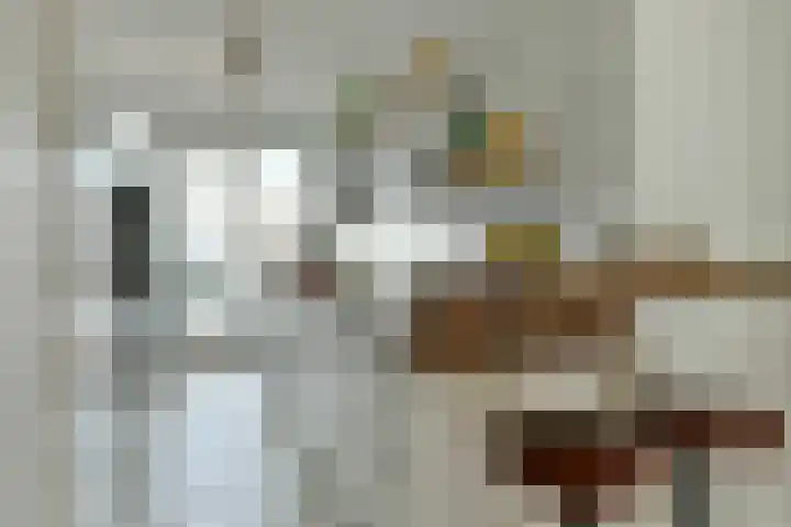 Formosastraat 95 Amsterdam thumbnail 9
