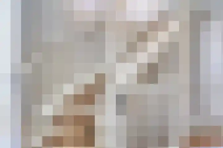 Forsythia 32 Dirksland thumbnail 16