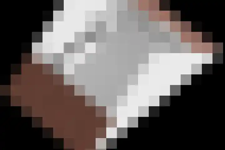 Forsythia 32 Dirksland thumbnail 44