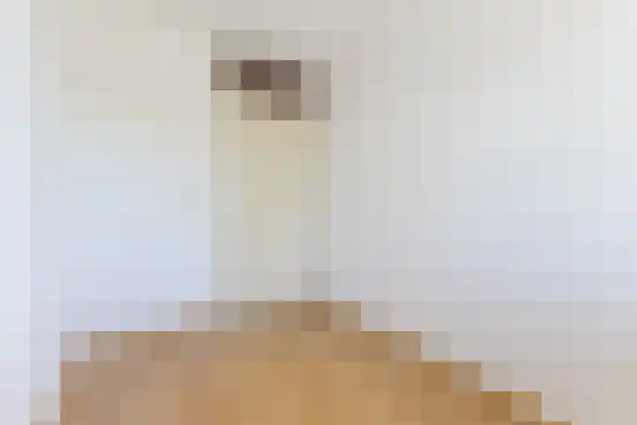 Fort 20 Veldhoven thumbnail 30