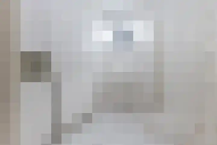 Fort 20 Veldhoven thumbnail 5
