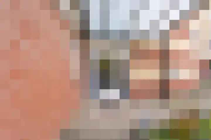 Fort 22 Veldhoven thumbnail 22