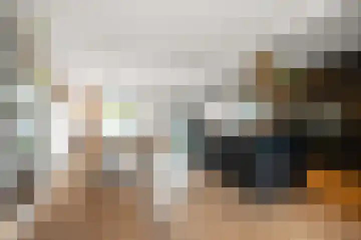Fortuinlaan 60 Krommenie thumbnail 12