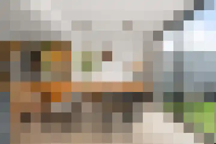 Fortuinlaan 60 Krommenie thumbnail 16
