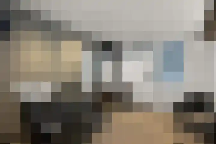 Fortuinlaan 60 Krommenie thumbnail 26