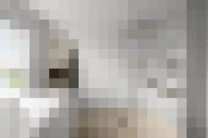 Fortuinlaan 60 Krommenie thumbnail 36