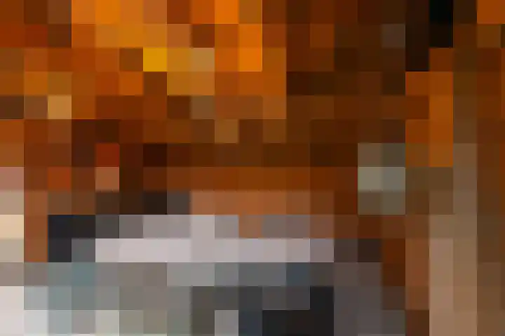 Fortuinlaan 60 Krommenie thumbnail 45