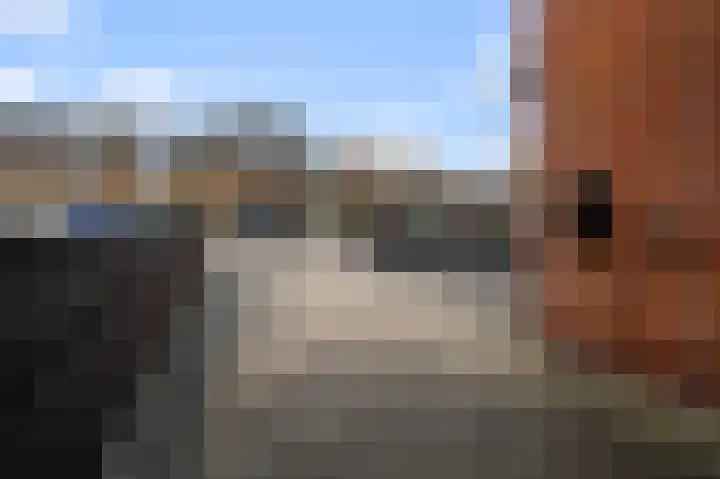 Fortuinlaan 60 Krommenie thumbnail 51